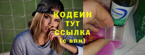 меф Дмитриев
