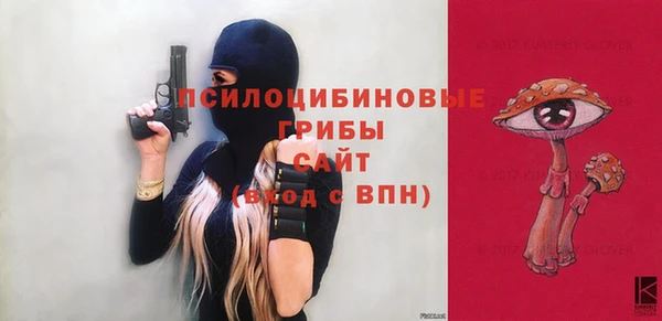 меф Дмитриев