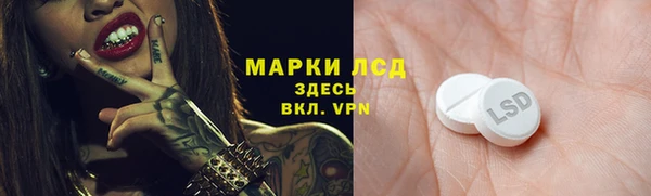хмурый Шали