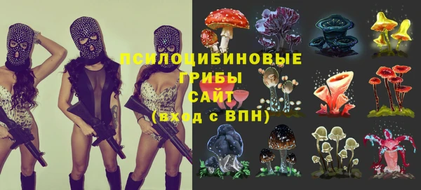 ешки Дмитров