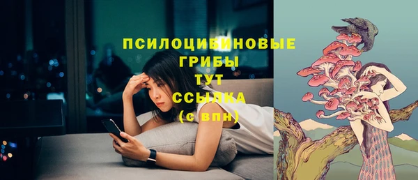 меф Дмитриев