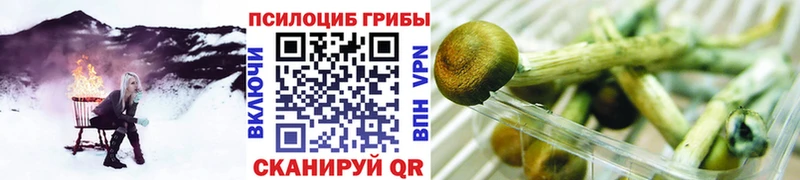 Галлюциногенные грибы прущие грибы  kraken как войти  Ковылкино 