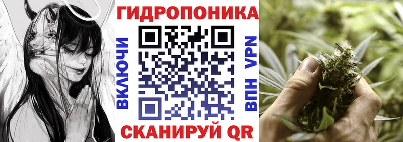 даркнет сайт  Ковылкино  МАРИХУАНА SATIVA & INDICA 